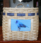 The Bluebird